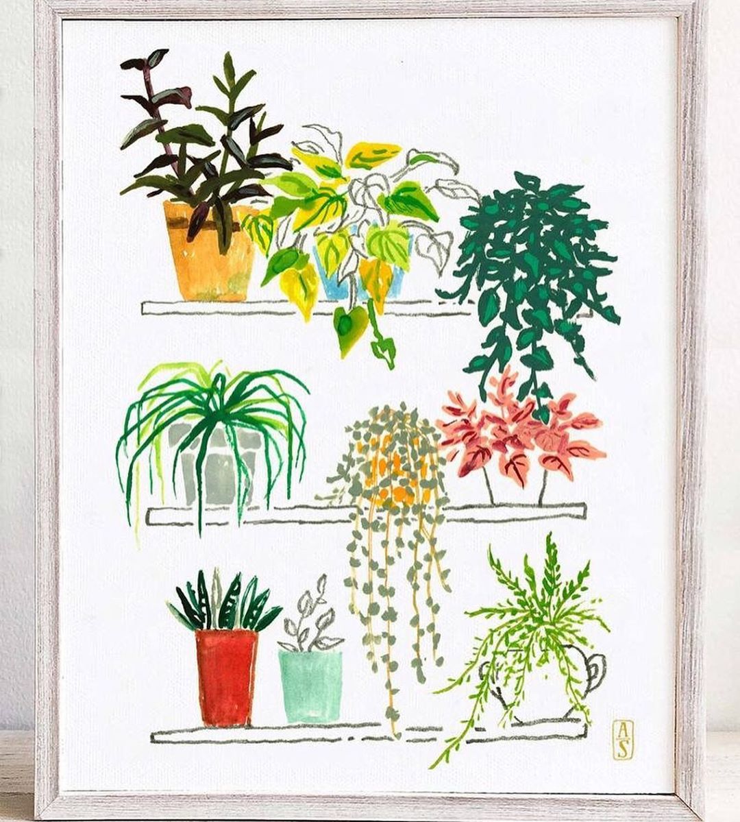Композиция комнатных растений рисунок