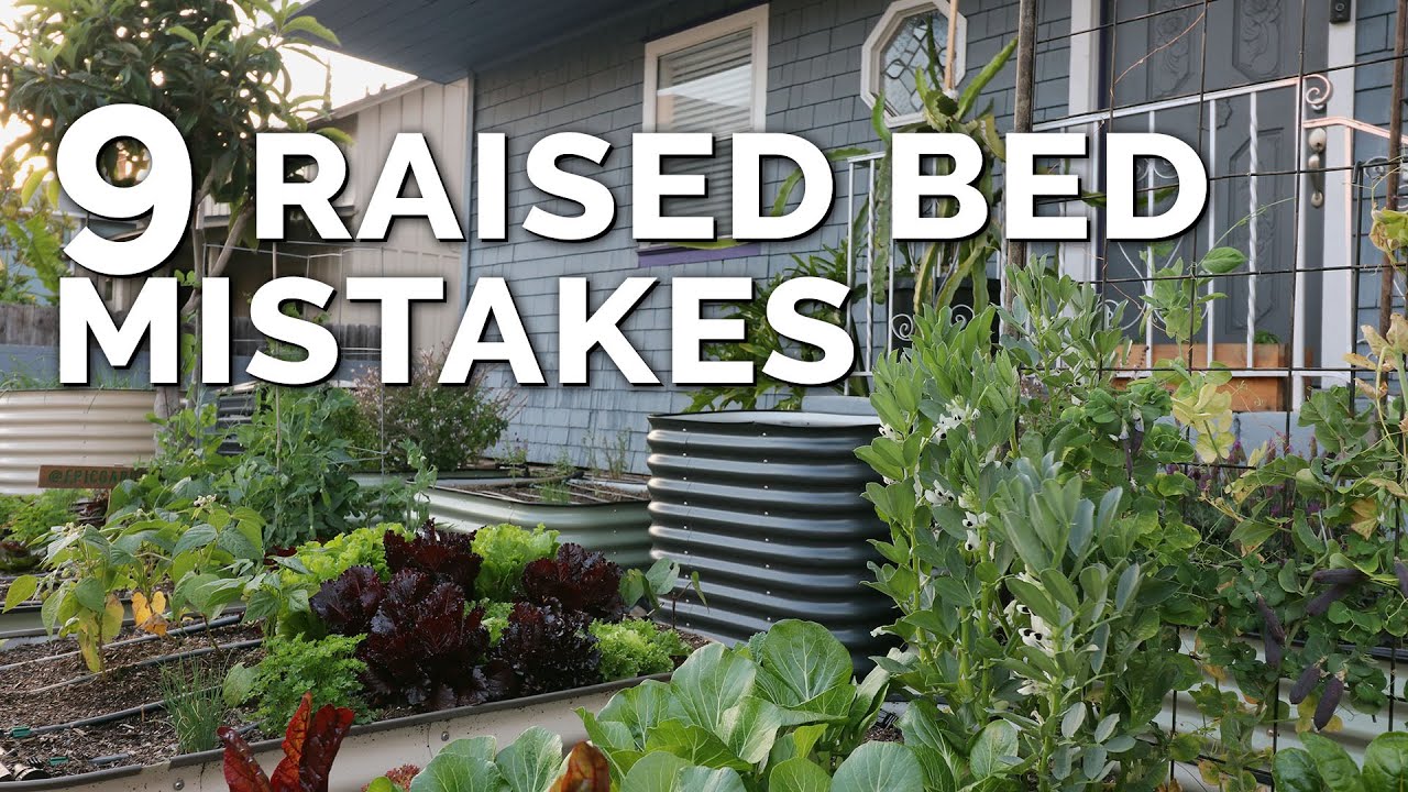 Epic Gardening: 9 Beginner Raised Bed Garden Mistakes to Avoid - All