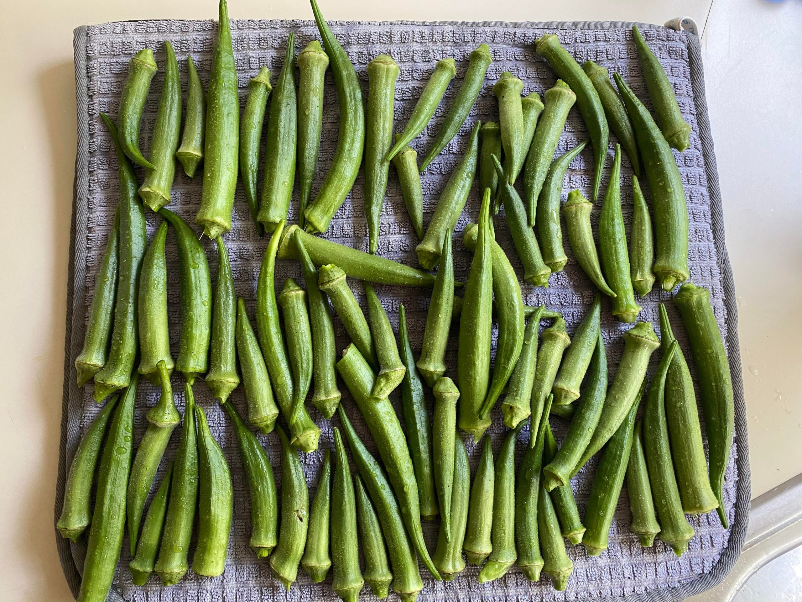 Vegetable Gardening: Ok okra... that's enough! - All For ...