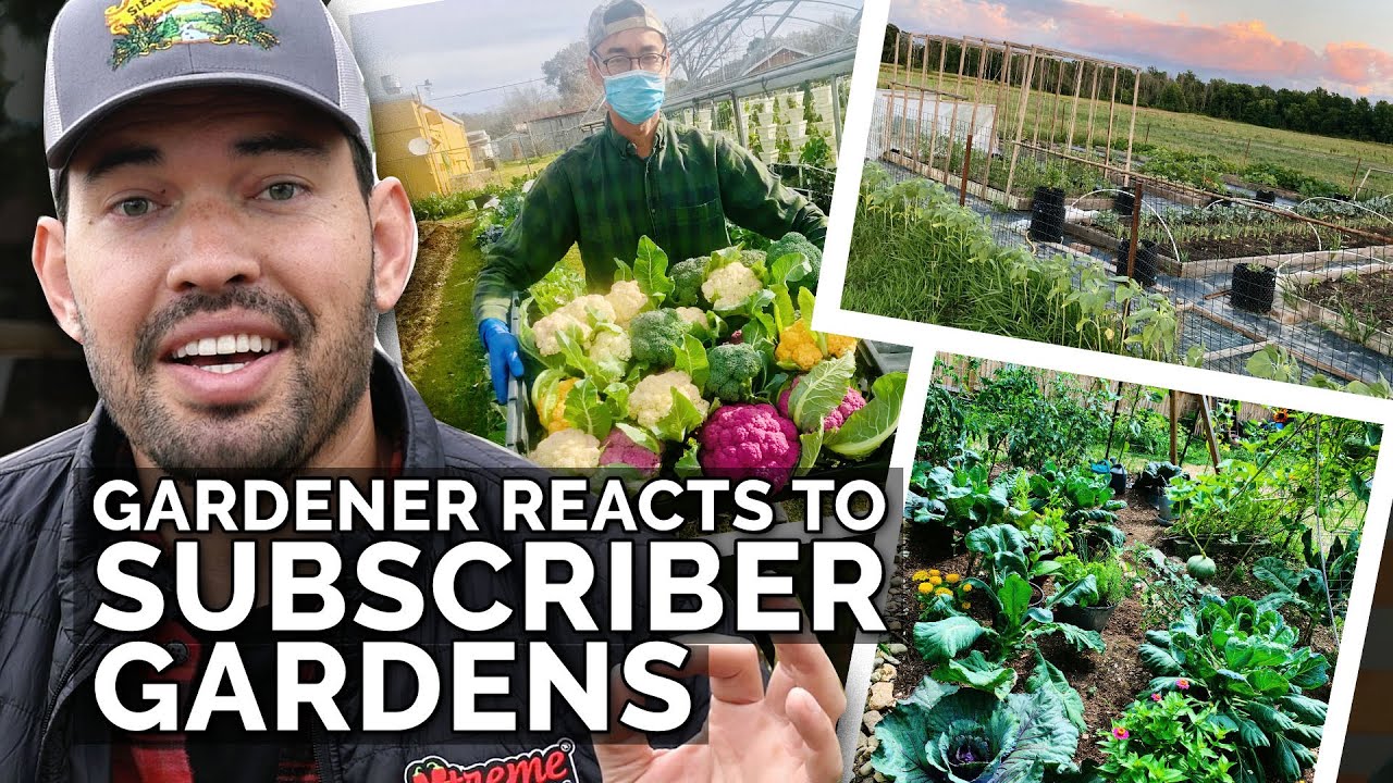 Epic Gardening Gardener Reacts to Subscriber Gardens! 👀🌱🌿 All For