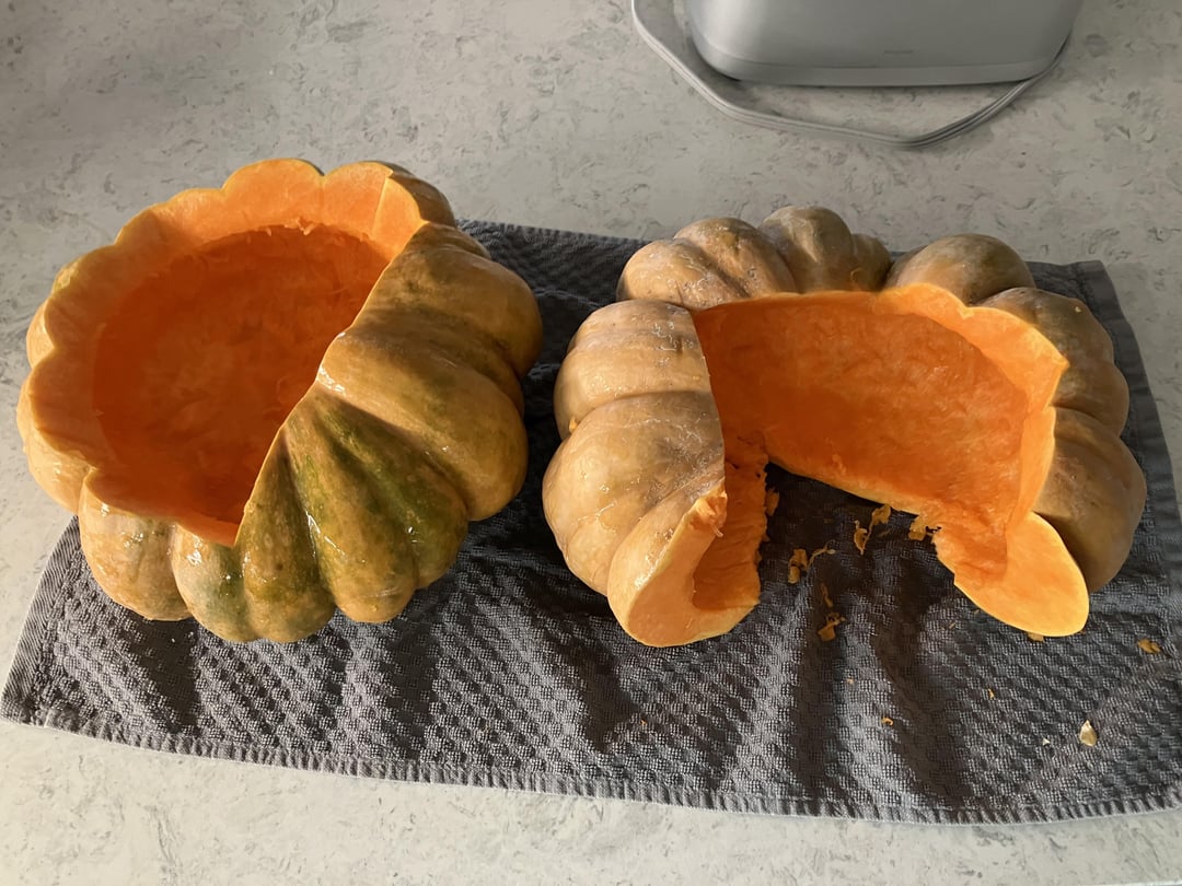 processing-moldy-pumpkins-all-for-gardening